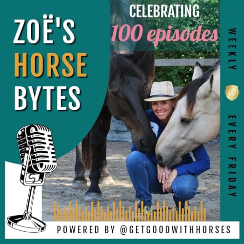 100. The 50-50 Rule + celebrating 100 Episodes with 50% Off