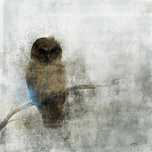 Hibou gardien Ken Roko affiche sur toile encadrée 93x93 cm
