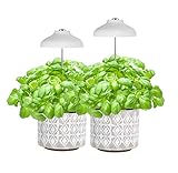 J&C Charlotte Height Adjustable Indoor Grow Light, Pack of 2, Grow Light for Herbs, Full Spectrum,...