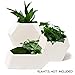 Modern Ceramic Geometric Planter ( 3 Pack-White) Hexagon Succulent Plant Pot/Cactus Flower Pot/Container