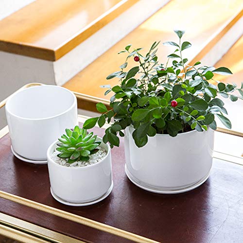EFISPSS Plant Pots, Flower Pots Planters with Connected Saucer, Round Modern Decorative Succulent Gardening Pot with Drainage Hole for Indoor Plants Flowers Herbs - Set of 3(White)