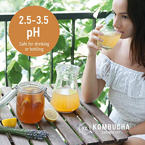 Ph Test Strips For Kombucha Brewing 0-6 (0.5 Intervals) 100Pc Kit #TOP6