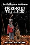 Picking Up the Pieces: Book 6 of Search the North Country Series