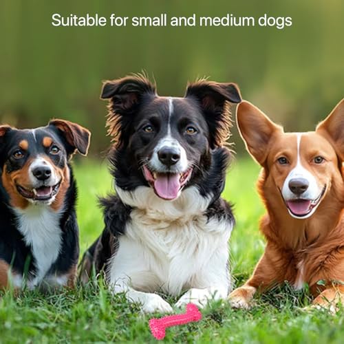 Image of Dog Chew Toy for Puppy, Cute Blue Small Dog Toy, Durable Chew Toy for Dogs and Pets - Durable & Non Toxic Spiky Rubber Bone for Dogs and Pets |Chew and Interactive Dog Toy (Pink)