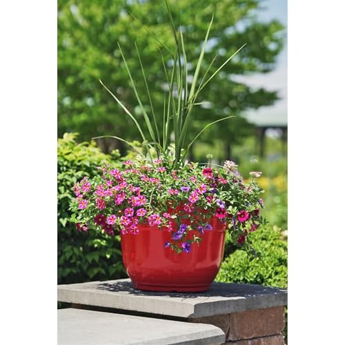 Garden Elements Indoor/Outdoor Glazed Brushed Happy Plastic Planter, Large, Bright Red, 15" - Thumbnail 5