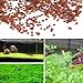 Homedeco Aquarium Glossostigma Hemianthus Callitrichoides Seeds Water Grass Easy Aquatic Live Plant Fish Tank Decoration Landscape Ornament