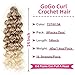 Unionbeauty GoGo Curl Crochet Hair 8 Packs Water Wave Crochet Braids 14 Inch Curly Crochet Hair for Black Women Deep Wave Ombre Brown Blonde Synthetic Curly Braiding Hair Extension T27/613#