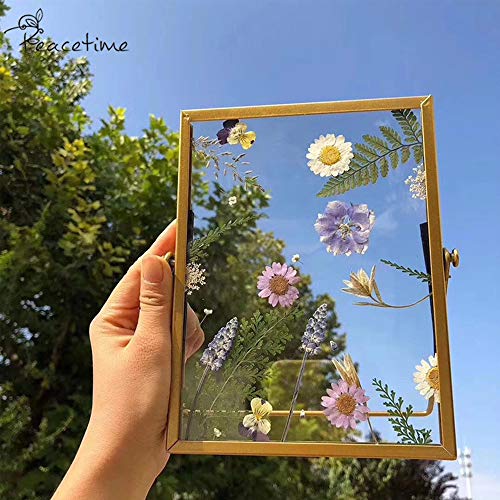 image for Pink 54pcs Real Dried Pressed Flowers Leaves Petals, Josisi Colorful P