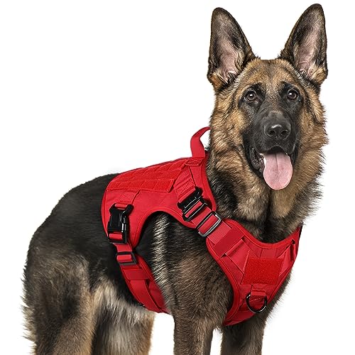 Red Dog Harness The 15 best products compared Wild Explained