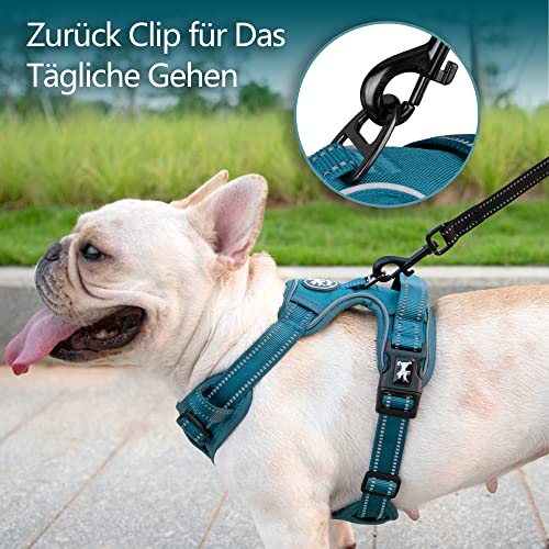 PoyPet Keine Pull Hundegeschirr, Reflektierendes Hundegeschirr für Hunde ohne Choke, Verstellbare, weich gepolsterte Haustierweste mit Easy Control-Griff für kleine bis große Hunde(Tumalo Teal,XS)