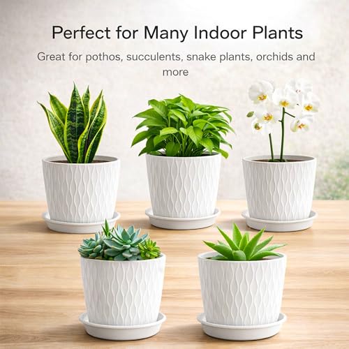 Image of Eightiz (Pack of 5 6 Inch Plastic Flower Pots for Indoor & Outdoor Terrace,Garden Plants Decorative Planters with Drainage Holes & Matching Saucers Durable & Lightweight (White)