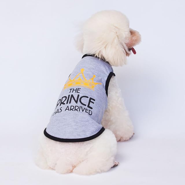 Foto 3 de 3 de Izefia Camisetas para Perros Ropa Transpirable Princesa Cumpleaños Frescas Verano Camiseta Sin Mangas Chaleco…