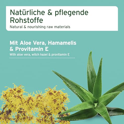 AniForte Pflegetücher für Hunde 100 Stück - XXL desodorierende Reinigungstücher mit Frischeverschluss, hypoallergen, mild, reißfest, natürliche Reinigung, Dog Wipes