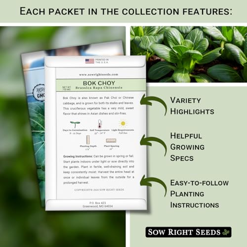 Sow Right Seeds - Asian Greens Seed Collection for Planting - Includes Thai Basil, Bok Choy, Chinese Celery, Tat SOI & Yu Choy Sum - Non-GMO Heirloom Varieties to Plant and Grow Indoors or Outdoors - Image 2