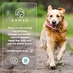 PawCo Magic Bar Healthy Functional Dog Treat – Soft, High-Protein Peanut Butter Bars with Pumpkin & Chicory Root, Supports Energy, Digestion & Overall Wellness – Pack of 8 (Heart Health) - Image 7