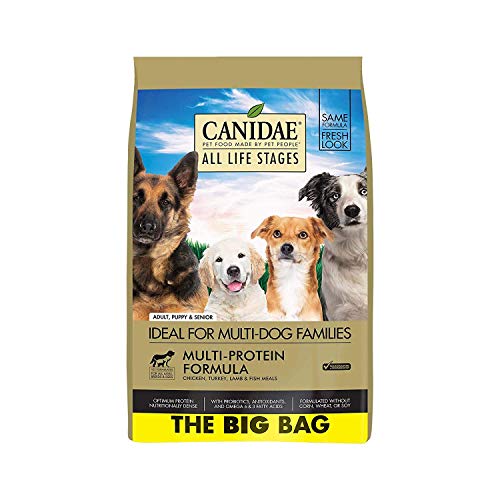 The Best Senior Dog Food Guide 2022 Animal Corner