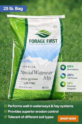 Grass Seed Blends For Erosion Control On Slopes