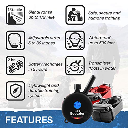 Image of Educator ET-302 Black Mini E Collar for Dog Training with Remote - 1 /2 Mile Range, Waterproof, 100 Blunt Stimulation Levels, Tone or Vibration Mode, Night Light for Small, Medium & Large Dogs (2 Dogs)