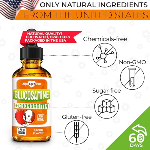 Glucosamine-for-Dogs-Liquid--Hip-and-Joint-Supplement-Dogs-Liquid--Dog-Joint-Supplement-Liquid--Glucosamine-for-Small-Dogs--Liquid-Glucosamine-for-Dogs--Bacon-Flavor--2-Oz - Cucciolini Doodles   Glucosamine-for-Dogs-Liquid--Hip-and-Joint-Supplement-Dogs-Liquid--Dog-Joint-Supplement-Liquid--Glucosamine-for-Small-Dogs--Liquid-Glucosamine-for-Dogs--Bacon-Flavor--2-Oz