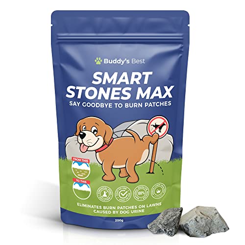 Smart Rocks Max | Natural Urine Neutraliser Rocks for Pets | Supports a Healthier Lawn & Cleaner Water | 200g