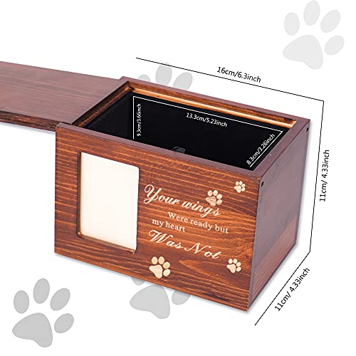 cat ashes box