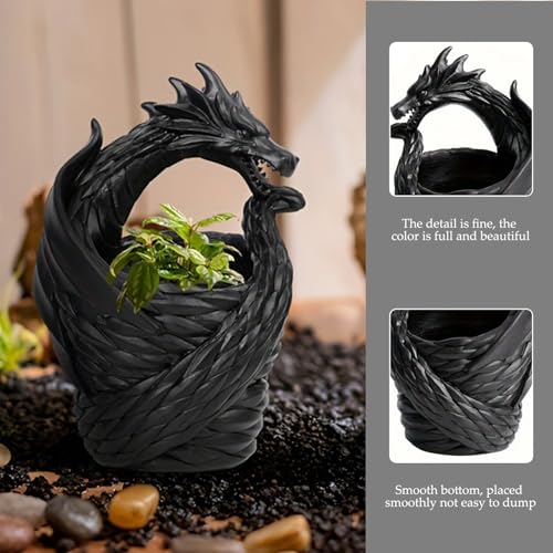 Pots succulentes design dragon idée cadeau déco originale - 6