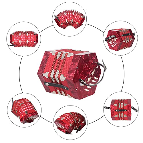 image for summina Accordion Acordeon Concertina Acordion Accordion Instrument An