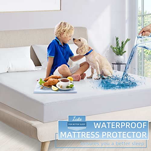 Lute Queen Mattress Protector, 100% Waterproof Mattress Cover, Cooling Bed Cover With Soft Bamboo And Breathable Cotton Terry, Vinyl Free Deep Pocket Mattress Pad Fit Up To 18", Machine Washable #TOP1