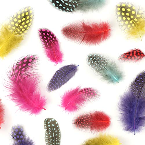 Zucker - Loose Guinea Plumage Mix Dyed - Day Glo Mix #TOP3