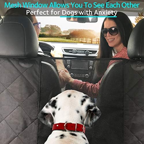 teaching a dog not to pull