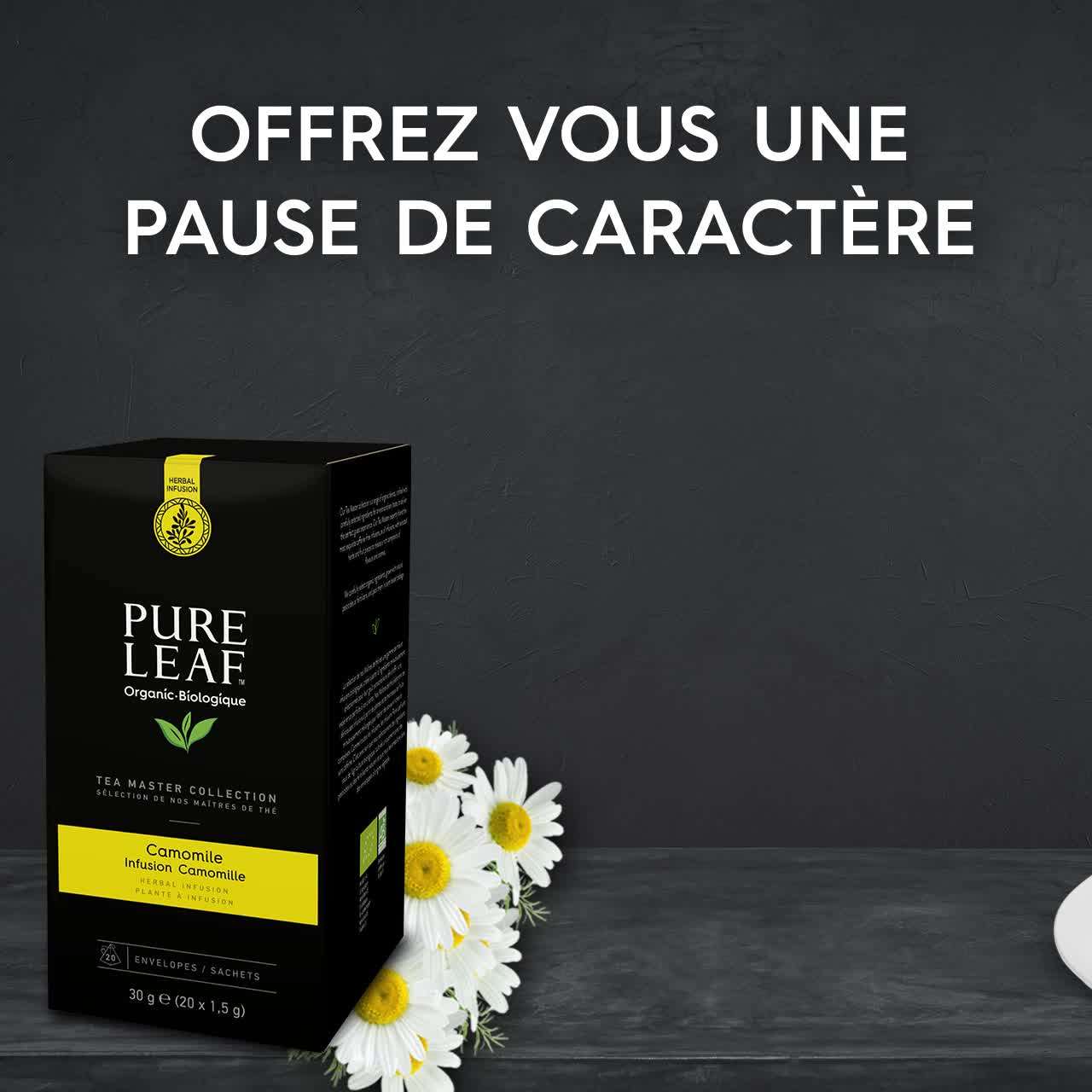 Pure Leaf Infusion Camomille Bio Sachets 30g Amazon Fr Epicerie