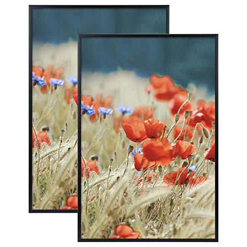 Golden State Art, 12X18 Aluminum Frame With Plexi-Glass - Swivel Tabs, Sawtooth Hangers - Metal Wall Frame Collection (2 Pack, Black) #TOP22