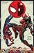 Produktbild Spider-Man/Deadpool Vol. 1: Isn't it Bromantic