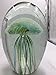 SunRise Hand Blown Glass - Jellyfish Paperweight, Glow in The Dark Glass with Multi-Color Light Base (Multi-Color)
