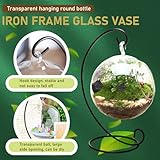 Air Plant Terrarium, With Black Iron Stand Clear Glass Terrariums for Plants, Hanging Funny DIY Air Plant Terrarium Kit, For Plants Succulent Small, Kit - Image 4
