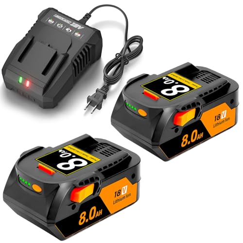 Upgraded 2Pack 8000mAh Replacement for Ridgid 18V Battery and Charger Compatible with Ridgid Battery 18V R840087 R840086 R840085 R840083 R840089 AC840085 AC840086 AC840087P AC840089 Drill Tools