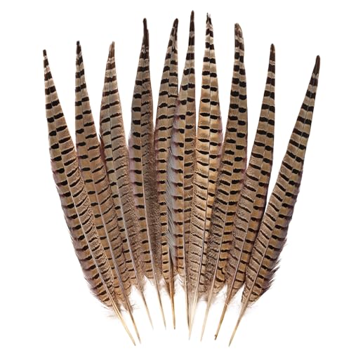 FeelfunFeather 5pcs Pheasant Feather 16-18inch 40-45cm Natural Male Ringneck Tails Feathers for DIY Crafts Home Wedding Party Carnival Decoration