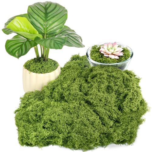 Draupnir 150g Künstliches Moos, Kunstmoos zum Basteln, Kunst Moos...