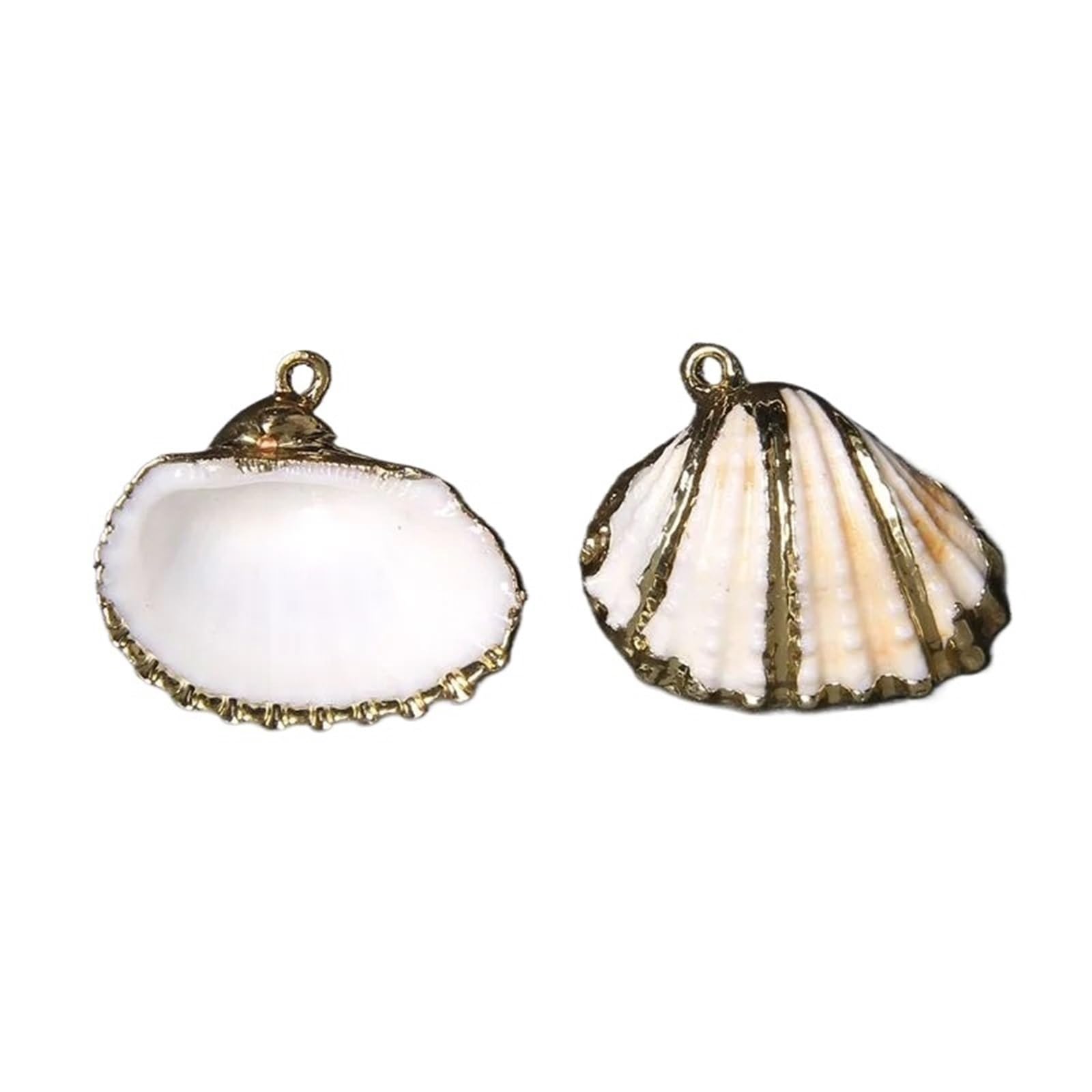8pcs Colorful Shell Charms Conch Seashell Scallop Cowrie Pendant For Necklace Jewelry Making Craft(White)