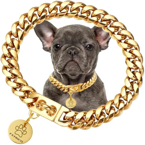 fengco Collare a catena per cani in acciaio inox placcato oro 18 K, con piastrina per cani (25,4 cm)
