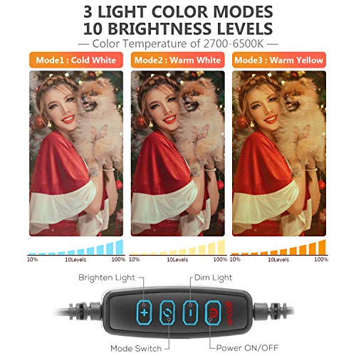 10.2" Ring Light with Stand & Phone Holder and Remote Control, Dimmable Desk Makeup Selfie LED RingLight Perfect for Live Streaming/YouTube/Video Recording/Photography, Compatible with iPhone/Android