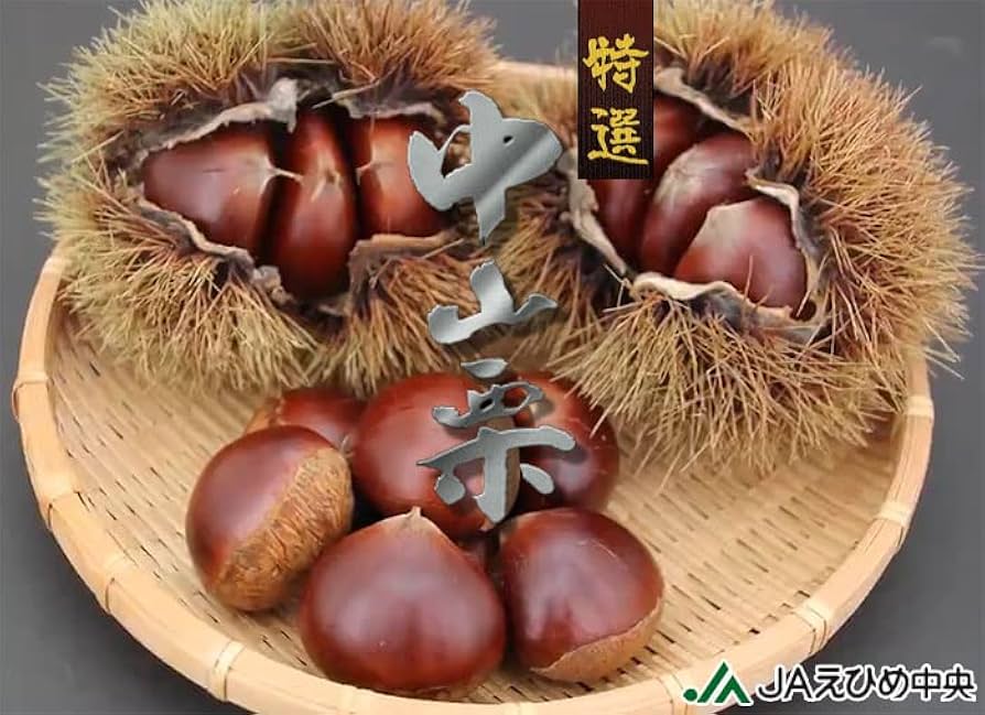 ポン様　生栗　10キロ　２回目 ポン様 生栗 10キロ 2回目 M109776432 - 果物送料 無料 通販