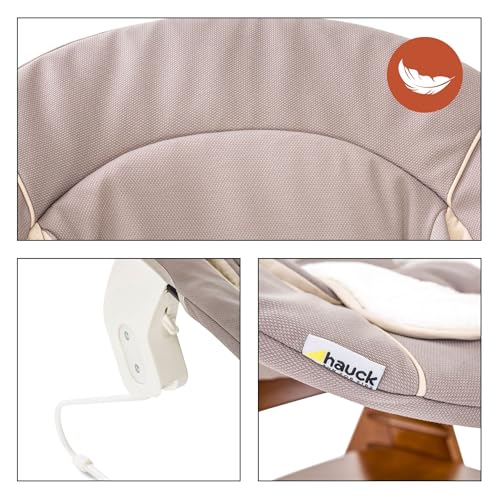 Image of Hauck Alpha Bouncer 2 in 1