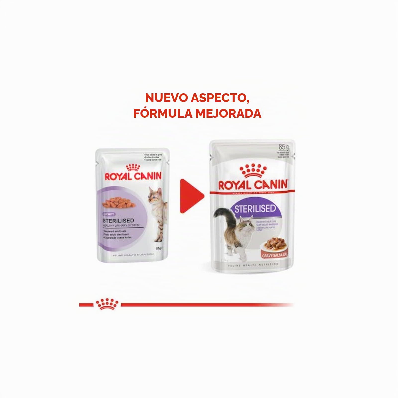 Royal Canin Feline Sterilised | Paquete de 4 | 4 x 12 x 85g | Alimento Completo para Gatos Adultos esterilizados | Trocitos en gelatina | A Partir del 12º Mes