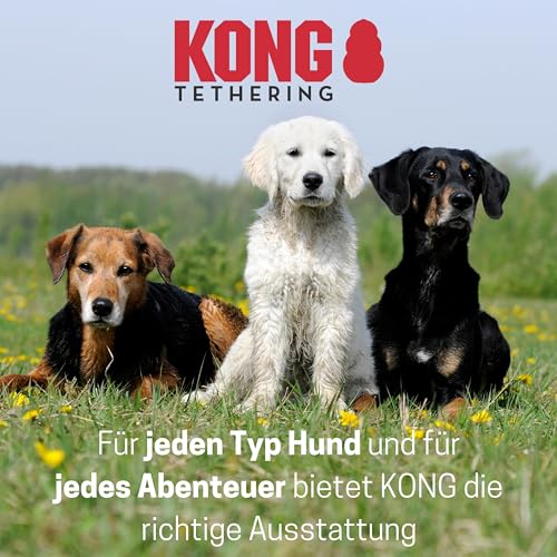 KONG 3-Fach Verstellbare Doppel-Hundeleine 2m I Für Große Hunde Bis 50kg I Größe L I Laufleine Mit 2 Robusten Karabinerhaken I Hochwertige Seil-Führleine in Schwarz