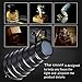 Soonpho Aluminium Alloy Conical Snoot Kit for Bowens Mount Strobe Flash Speedlite Photography,Honeycomb Grid and 5 Pieces Color Filters for Bowens Mount Strobe Flash Speedlite