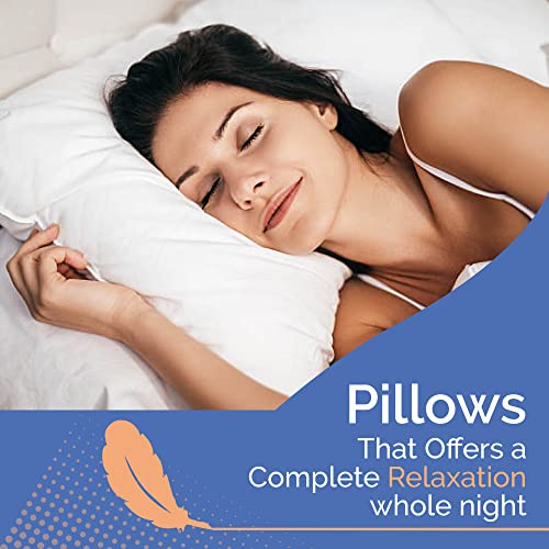 Continental Bedding CB1090-S.NEW White Goose Down Feather Pillow Down Pillows Standard Size Set Of 2 20X26 Inch 34 Oz Luxury Hotel Pillows thumb #5