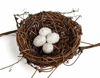 工芸品  birds festive mistle thrush egg 2+ Thousand Thrush Eggs Royalty-Free Images, Stock Photos