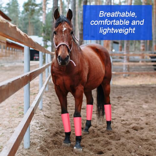 Image of Set of 20 Mesh Fly Boots for Horse Breathable Mesh Horse Boots Protective Horse Leg Wraps Horse Leggings for Preventing Flies and Mosquitoes Bites(Blue, Orange, Pink, Green)