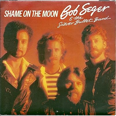 Shame On The Moon